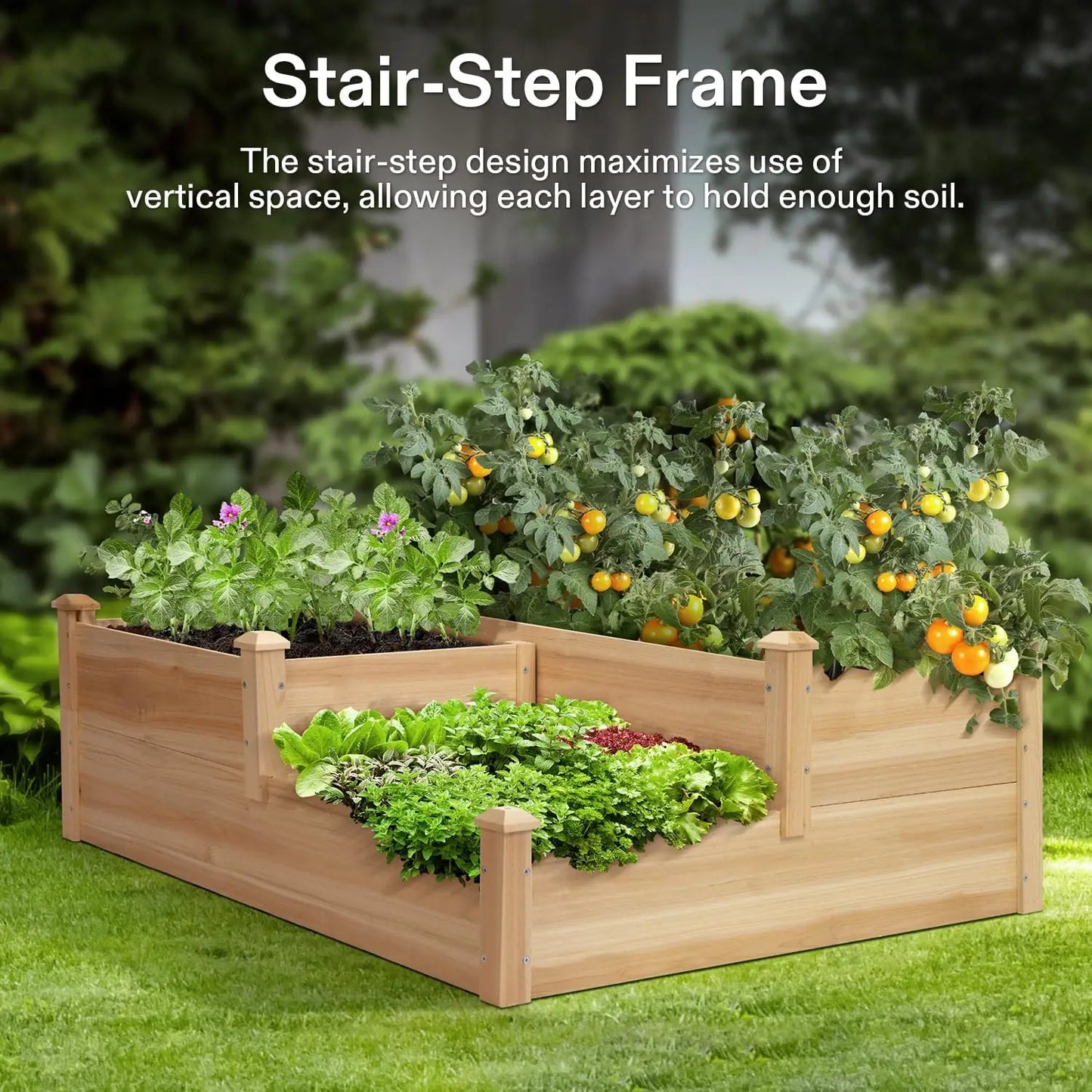 Three Tier Wooden Raised Garden Bed For Outdoor Planting